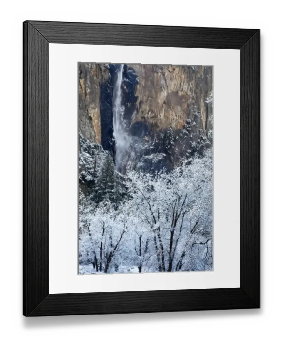 Framed Print : Fresh snowfall coats the trees below Bridalveil Falls in Yosemite National Park, California Framed Print : Fresh snowfall coats the trees below Bridalveil Falls in Yosemite National Park, California