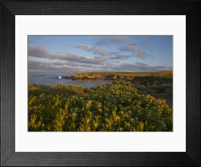 Framed Print : Piedras Blancas Lighthouse on the Big Sur Coastline, Californai, USA Framed Print : Piedras Blancas Lighthouse on the Big Sur Coastline, Californai, USA