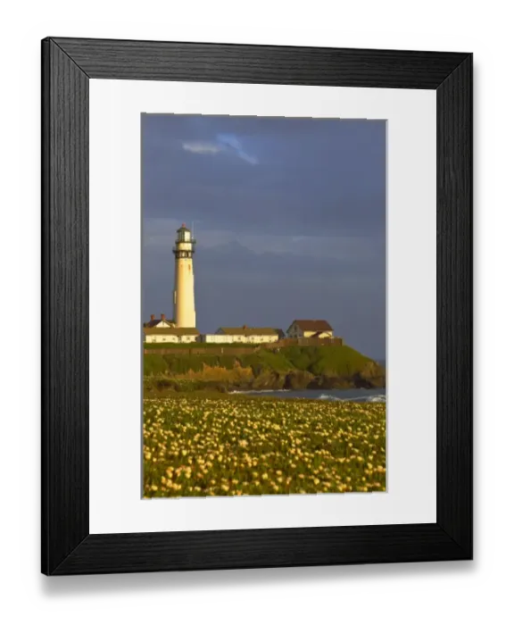 Framed Print : Lighthouse at Pigeon Point State Beach in San Mateo county, California, USA Framed Print : Lighthouse at Pigeon Point State Beach in San Mateo county, California, USA