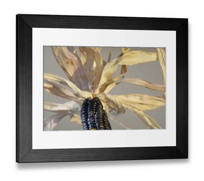 Framed Print : Europe, Serbia Framed Print : Europe, Serbia