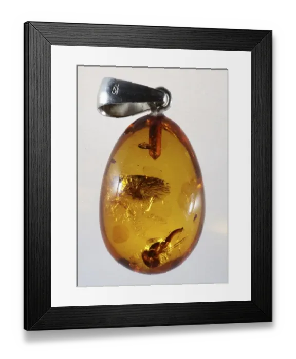 Framed Print : Europe, Serbia Framed Print : Europe, Serbia