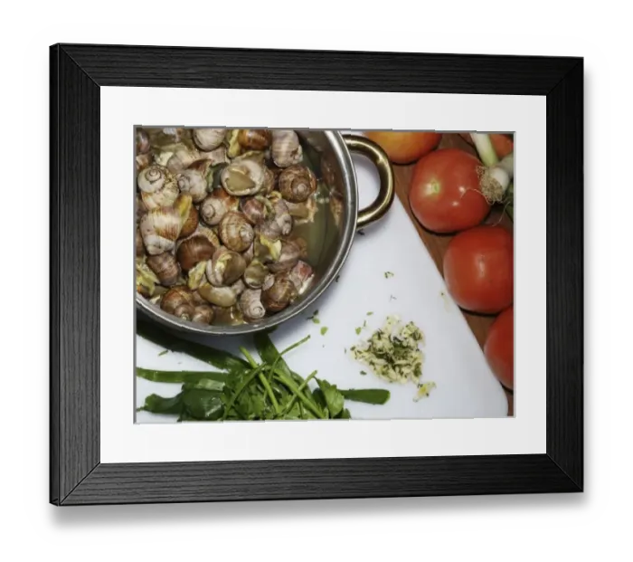 Framed Print : The brown garden snail, widely used in escargot. (MR) Framed Print : The brown garden snail, widely used in escargot. (MR)