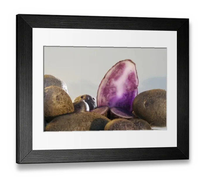Framed Print : Peruvian blue potatoes (MR) Framed Print : Peruvian blue potatoes (MR)