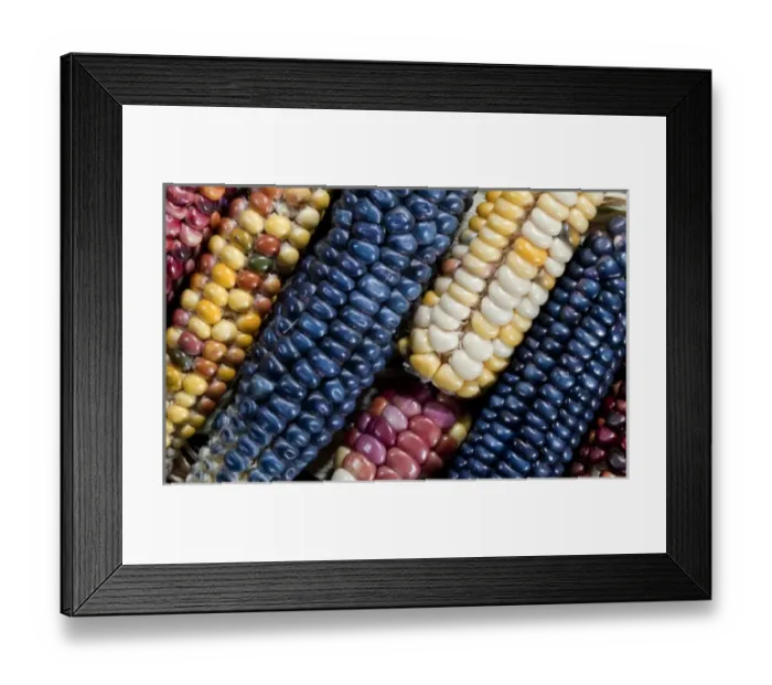 Framed Print : Europe, Serbia Framed Print : Europe, Serbia