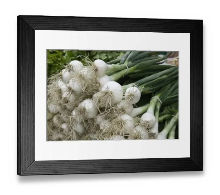 Framed Print : Europe, Serbia Framed Print : Europe, Serbia