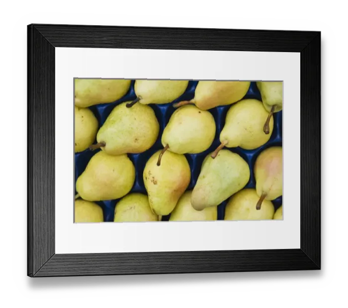 Framed Print : Europe, Serbia