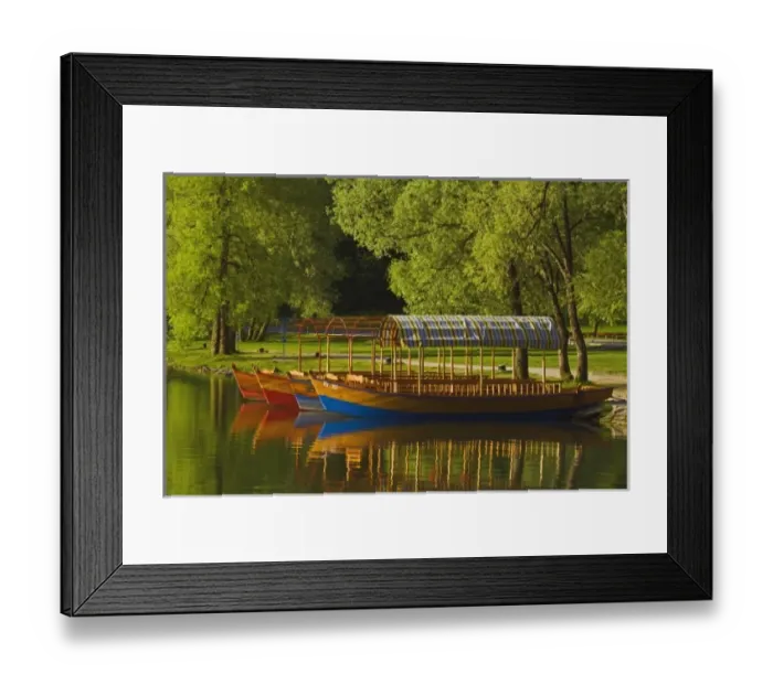 Framed Print : Europe, Slovenia