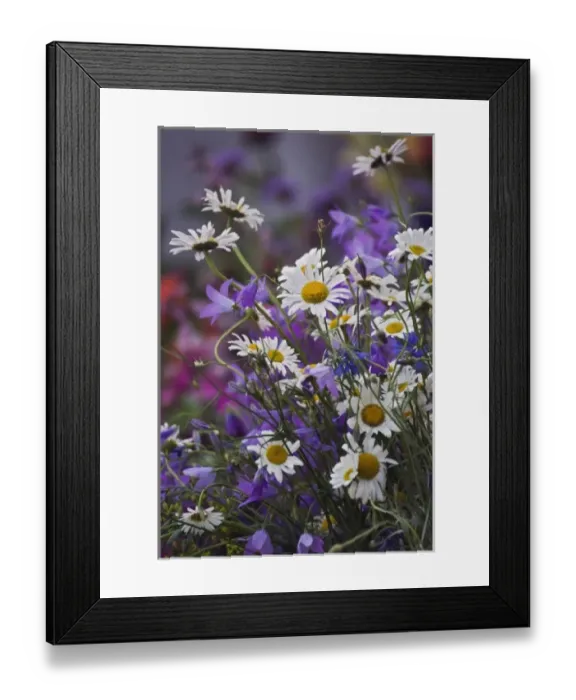Framed Print : Flowers in the market, Ljubljana, Slovenia