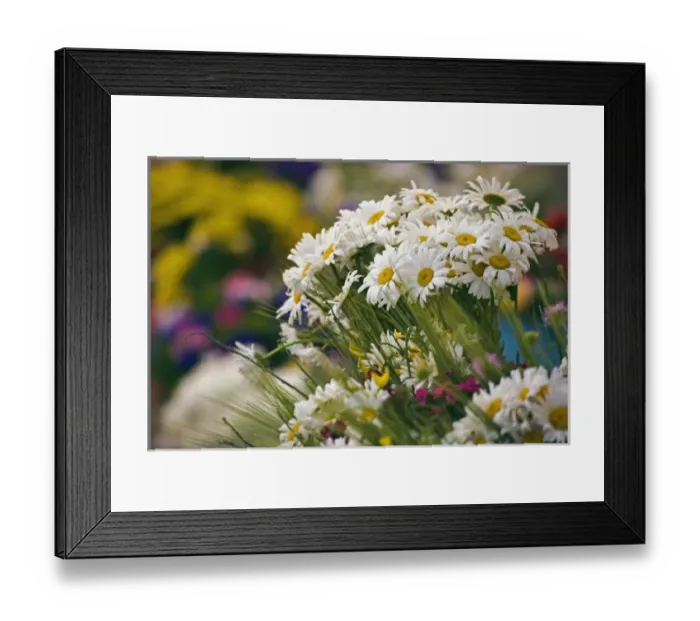 Framed Print : Europe, Slovenia