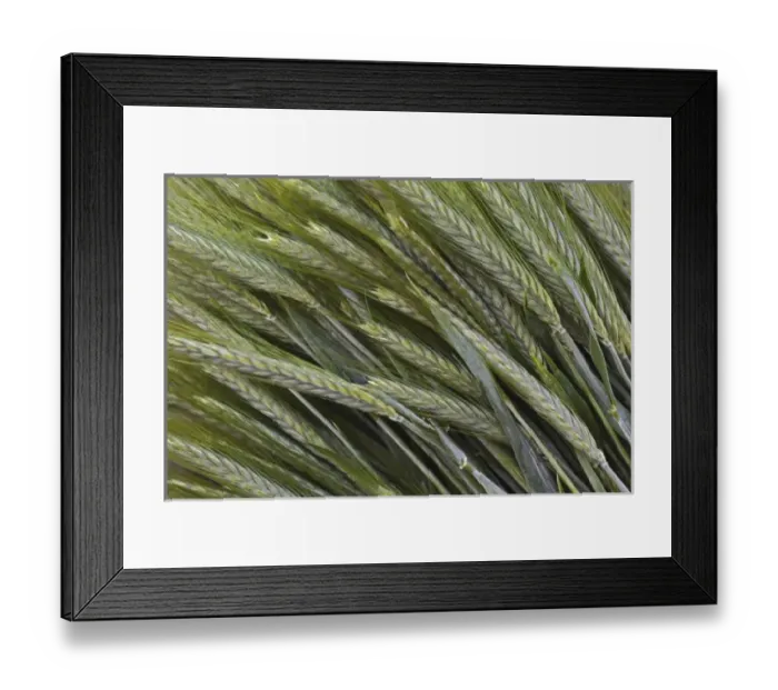Framed Print : Europe, Slovenia Framed Print : Europe, Slovenia