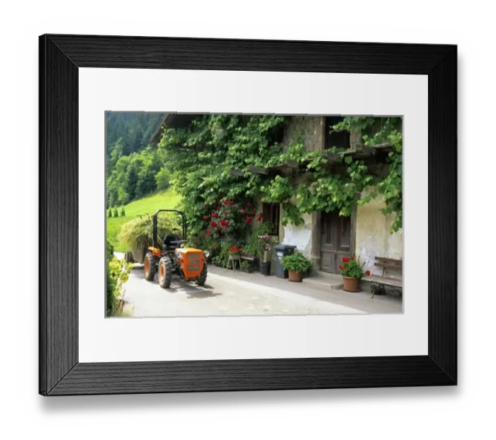 Framed Print : Europe, Slovenia