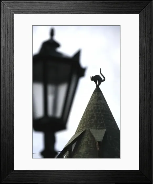 Framed Print : The cat statue locating on the roof top of famous cat house. Riga. Latvia