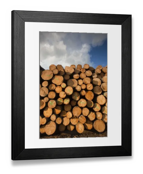 Framed Print : Europe, Latvia Framed Print : Europe, Latvia
