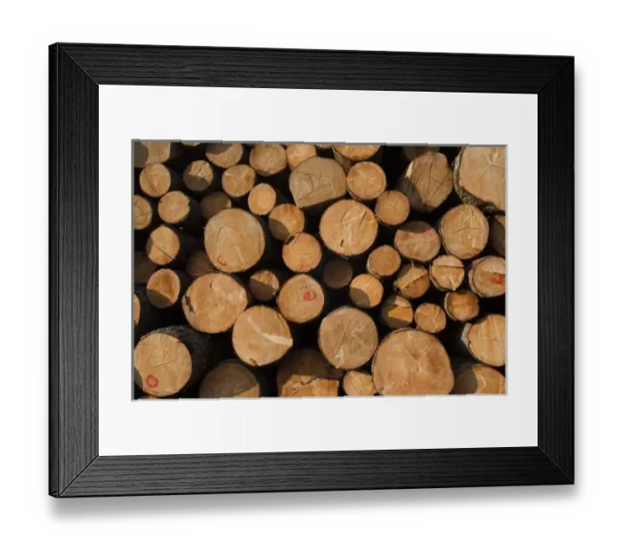 Framed Print : Europe, Latvia