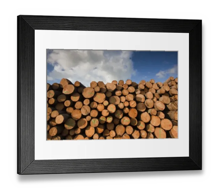 Framed Print : Latvia, Northeastern Latvia, Vidzeme Region, Gauja National Park, Dikli, freshly