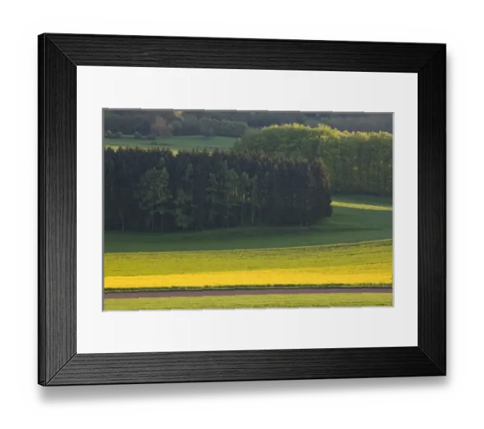 Framed Print : Luxembourg, Ettelbruck. Mustard field in the spring Framed Print : Luxembourg, Ettelbruck. Mustard field in the spring