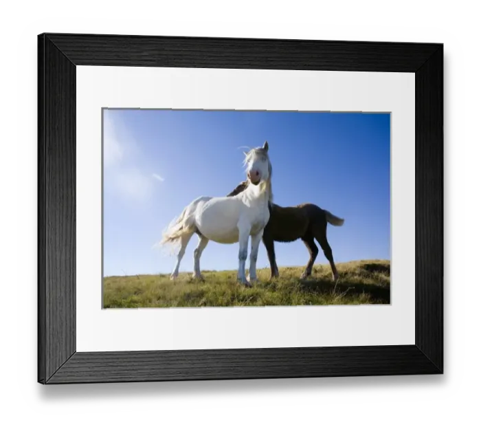 Framed Print : UK, Wales, Brecon Beacons NP. Wild Pony against blue sky in the Welsh mountains of Britain Framed Print : UK, Wales, Brecon Beacons NP. Wild Pony against blue sky in the Welsh mountains of Britain