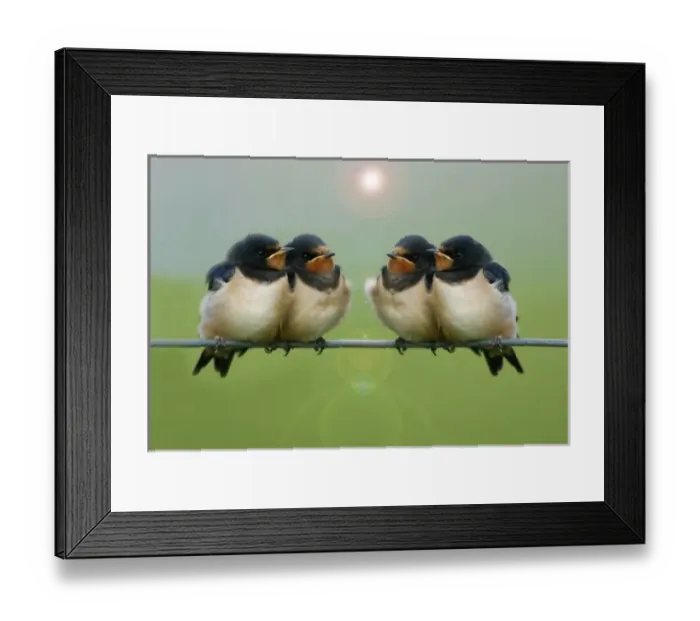 Framed Print : Europe, Wales Framed Print : Europe, Wales