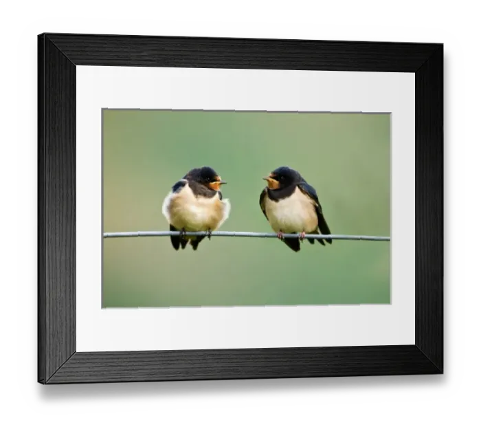 Framed Print : Europe, Wales Framed Print : Europe, Wales