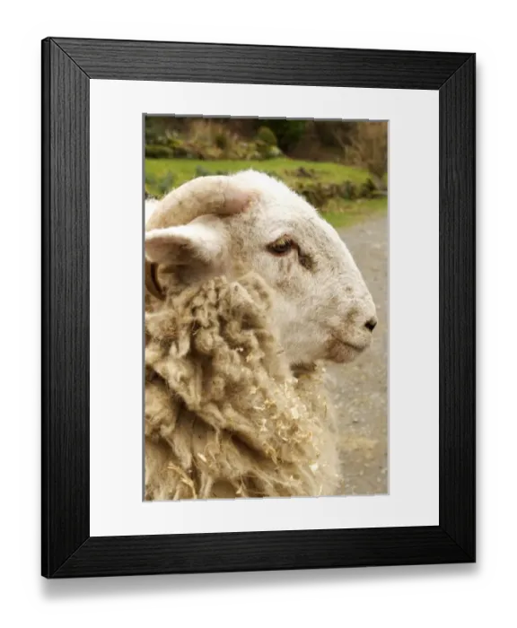 Framed Print : Europe, Wales Framed Print : Europe, Wales