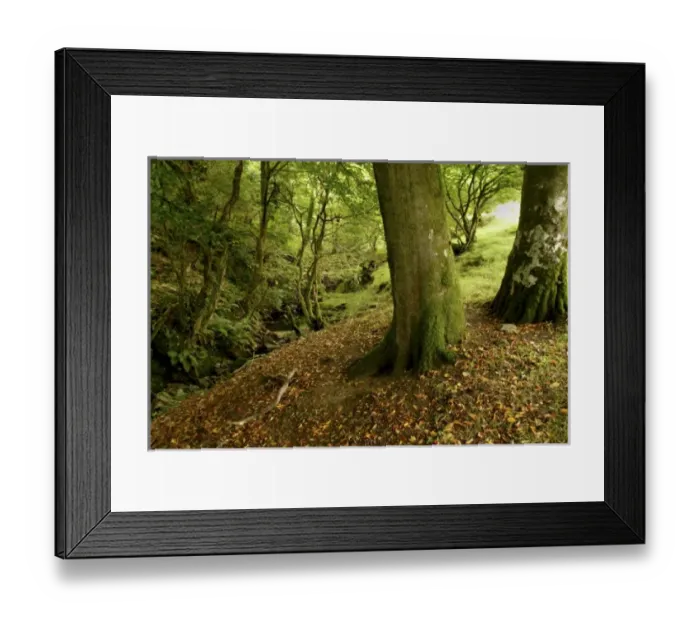 Framed Print : Europe, Wales