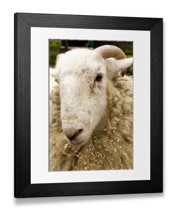 Framed Print : Europe, Wales Framed Print : Europe, Wales