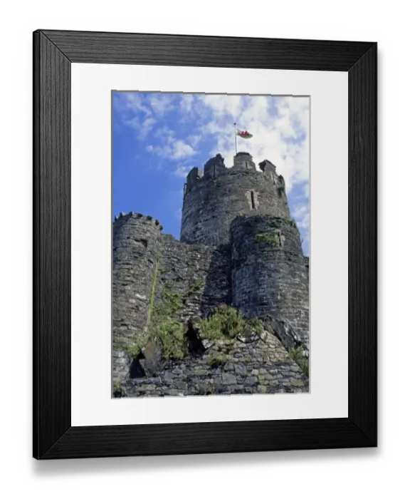 Framed Print : United Kingdom, Wales, Conwy. Conwy Castle, a UNESCO World Heritage Site, one of the Castles Framed Print : United Kingdom, Wales, Conwy. Conwy Castle, a UNESCO World Heritage Site, one of the Castles