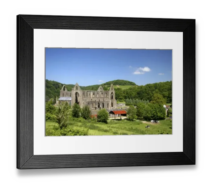 Framed Print : Tintern, Wales. The ruins of an ancient yet magnificent abbey, the Tintern Abbey in Wales Framed Print : Tintern, Wales. The ruins of an ancient yet magnificent abbey, the Tintern Abbey in Wales