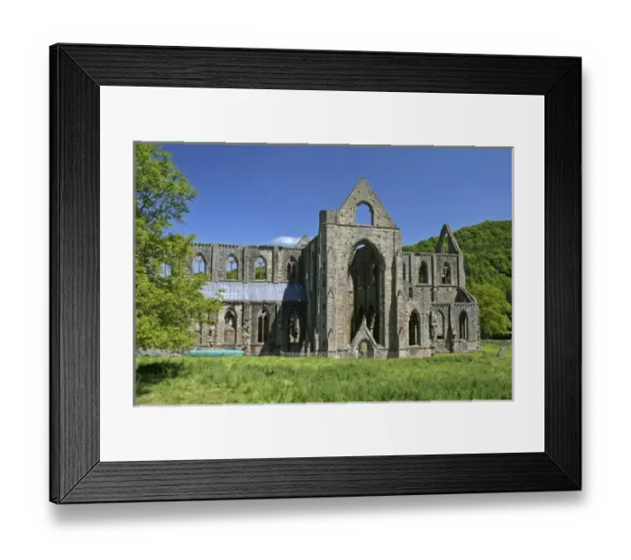 Framed Print : Tintern, Wales. The ruins of an ancient yet magnificent abbey, the Tintern Abbey in Wales Framed Print : Tintern, Wales. The ruins of an ancient yet magnificent abbey, the Tintern Abbey in Wales