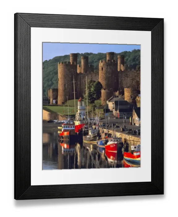Framed Print : Wales, Conwy Co. Conwy. Colorful fishing boats line the harbor below the Castle in Conwy Framed Print : Wales, Conwy Co. Conwy. Colorful fishing boats line the harbor below the Castle in Conwy