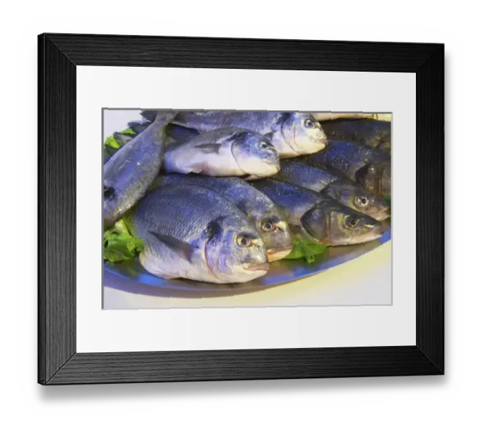 Framed Print : Fresh river fish presented to restaurant guests before cooking, Restaurant Restoran Rond Framed Print : Fresh river fish presented to restaurant guests before cooking, Restaurant Restoran Rond