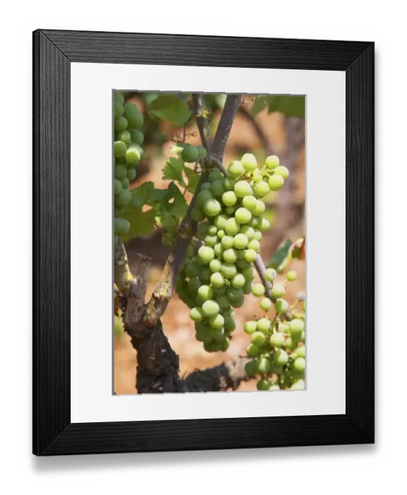 Framed Print : Europe, Bosnia Framed Print : Europe, Bosnia