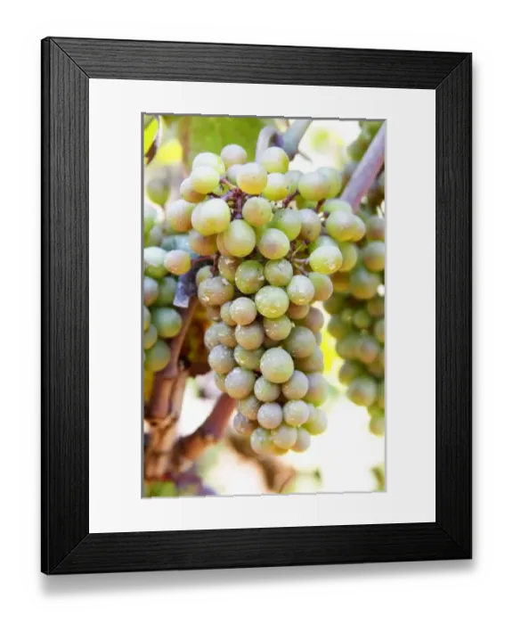 Framed Print : Europe, Bosnia Framed Print : Europe, Bosnia