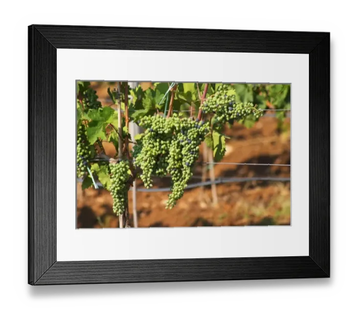 Framed Print : Europe, Bosnia Framed Print : Europe, Bosnia