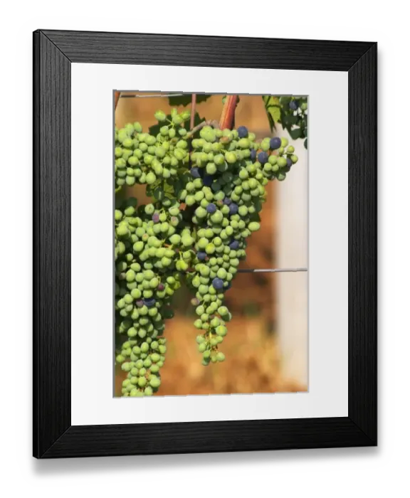 Framed Print : Europe, Bosnia Framed Print : Europe, Bosnia