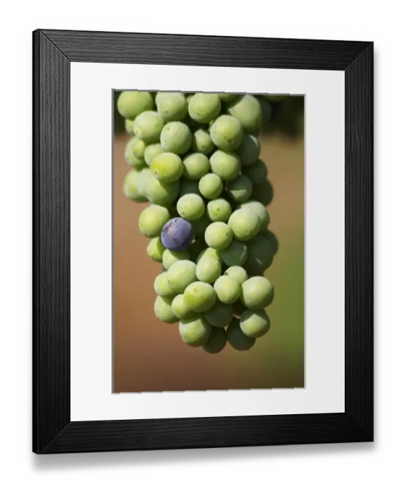 Framed Print : Europe, Bosnia Framed Print : Europe, Bosnia