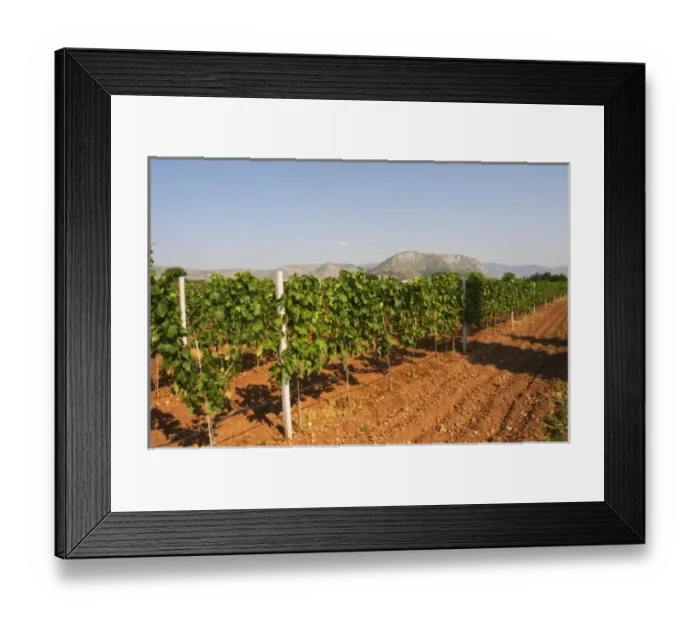 Framed Print : Plain near Mostar with the mountain range in the background. Irrigation watering installation Framed Print : Plain near Mostar with the mountain range in the background. Irrigation watering installation