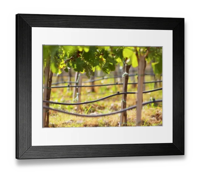 Framed Print : Europe, Bosnia Framed Print : Europe, Bosnia