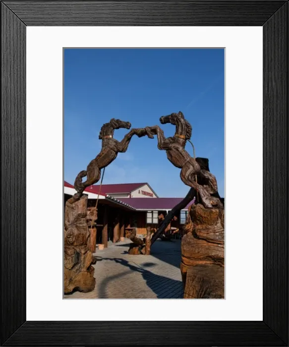 Framed Print : Wooden horses sculpture in Panevezys, near Latvian-Lithuanian border Framed Print : Wooden horses sculpture in Panevezys, near Latvian-Lithuanian border
