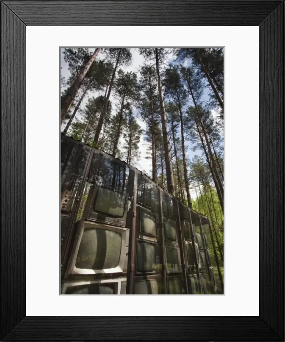 Framed Print : Lithuania, Vilnius-area, Europos Parkas sculpture park, LNK Infotree by Gintaras Karosas