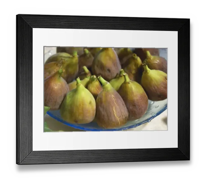Framed Print : Europe, Montenegro Framed Print : Europe, Montenegro