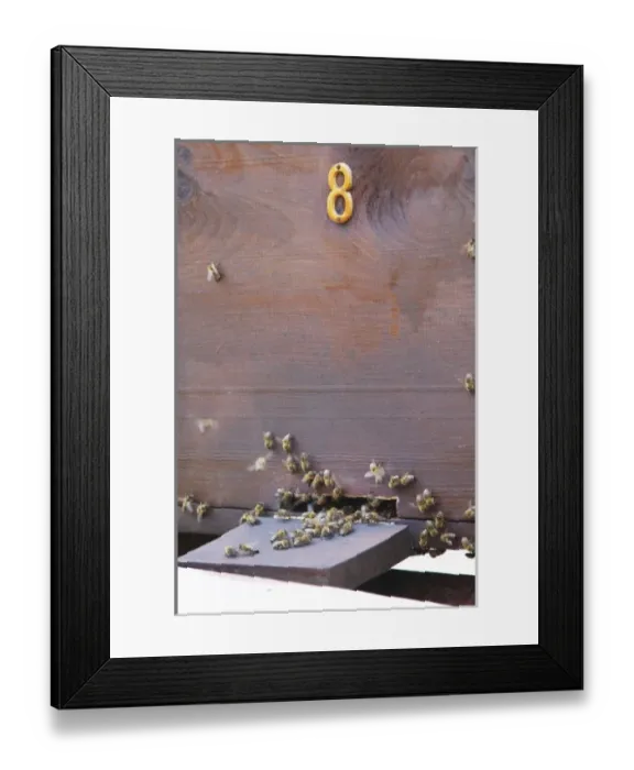Framed Print : A bee hive beehive in the garden. Durovic Jovo Winery, Dupilo village, wine region Framed Print : A bee hive beehive in the garden. Durovic Jovo Winery, Dupilo village, wine region