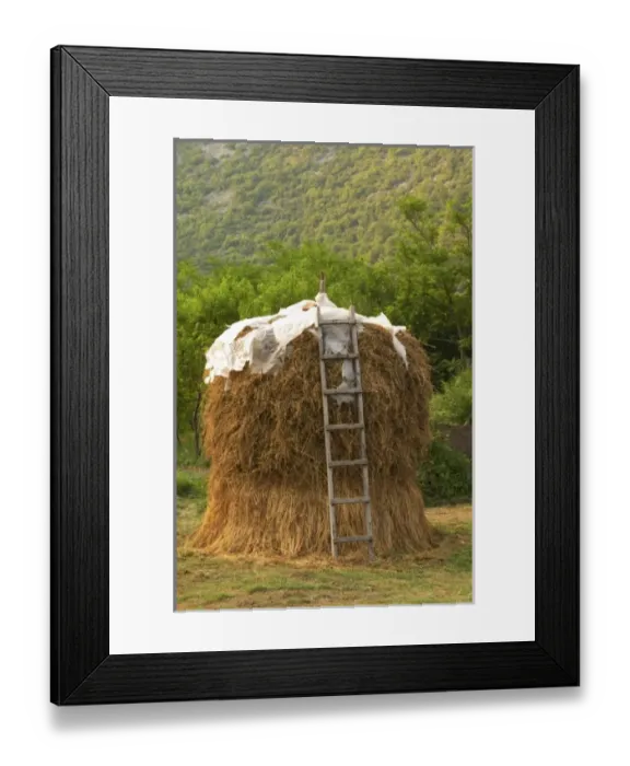 Framed Print : Europe, Montenegro Framed Print : Europe, Montenegro