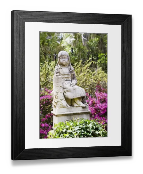 Framed Print : USA, North America, Georgia