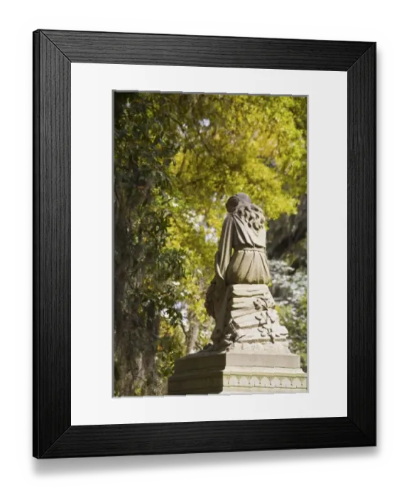 Framed Print : USA, North America, Georgia Framed Print : USA, North America, Georgia