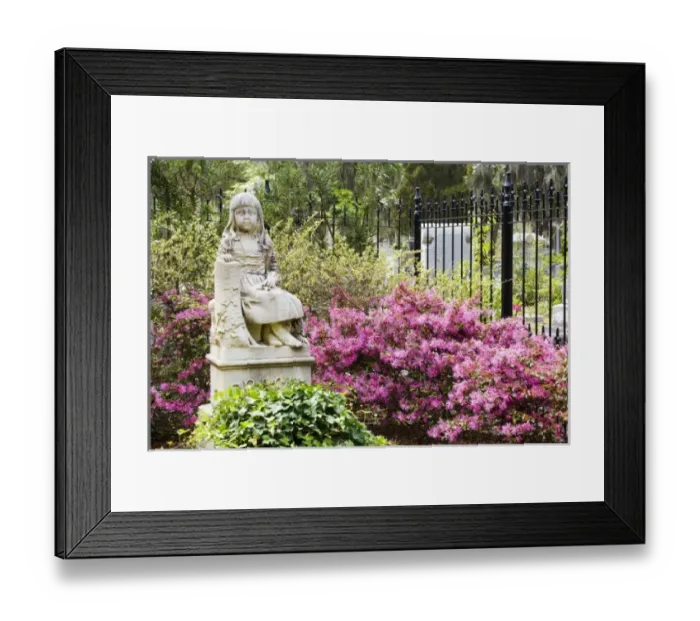 Framed Print : USA, North America, Georgia Framed Print : USA, North America, Georgia
