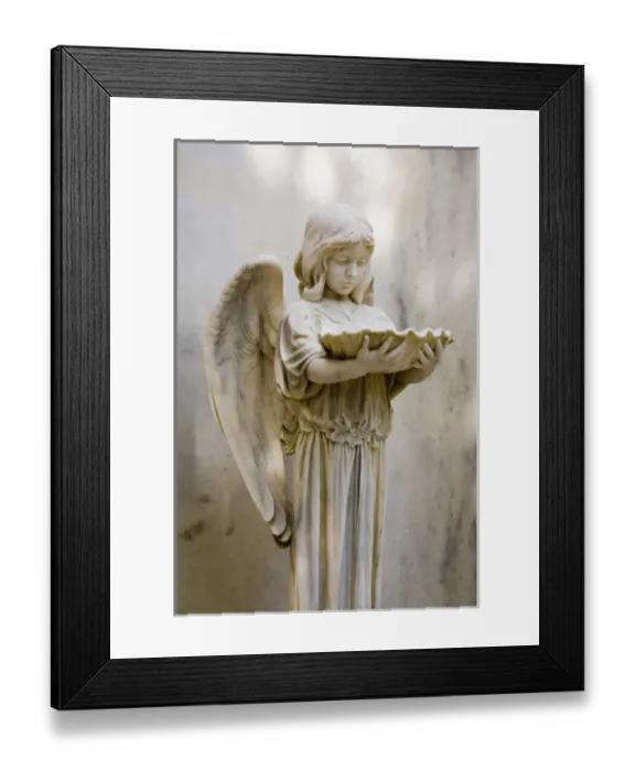 Framed Print : USA, North America, Georgia
