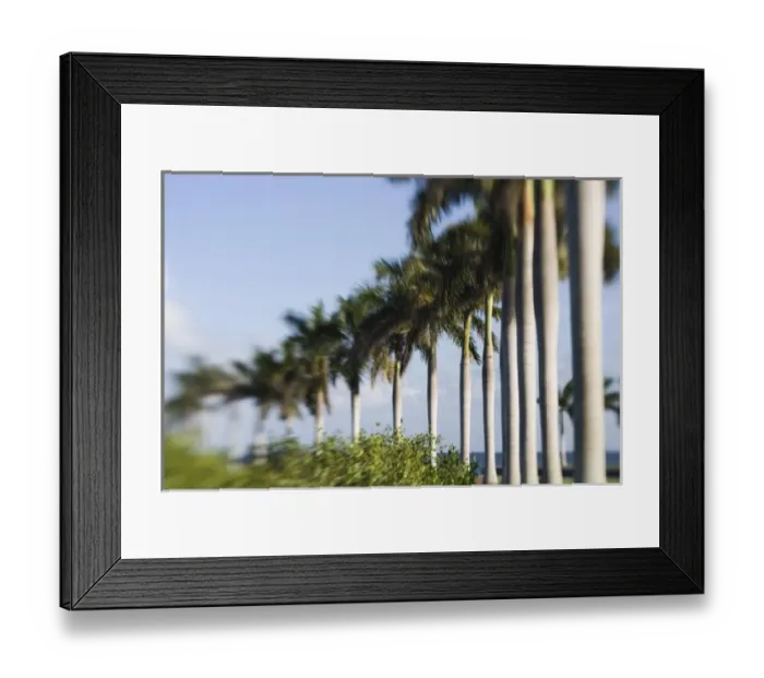 Framed Print : USA, Florida, Miami: Deering Estate at Cutler, One Time Home of Charles Deering, now a museum Framed Print : USA, Florida, Miami: Deering Estate at Cutler, One Time Home of Charles Deering, now a museum