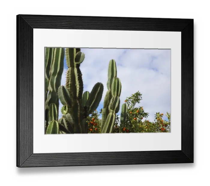 Framed Print : USA, North America, Florida Framed Print : USA, North America, Florida