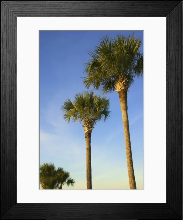 Framed Print : USA, Florida Framed Print : USA, Florida
